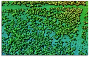 DGM von Forst-Versuchsfläche